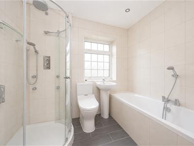 Picture 20